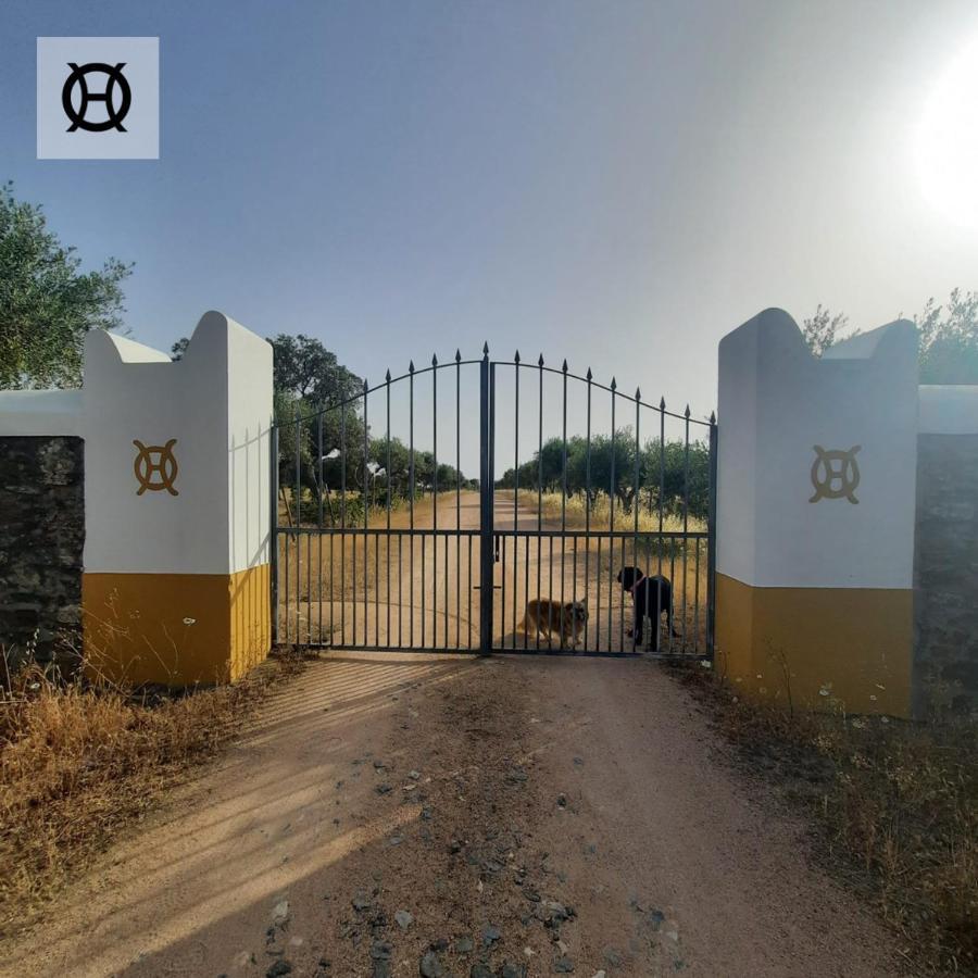 Herdade Da Ordem Cabeço de Vide 外观 照片