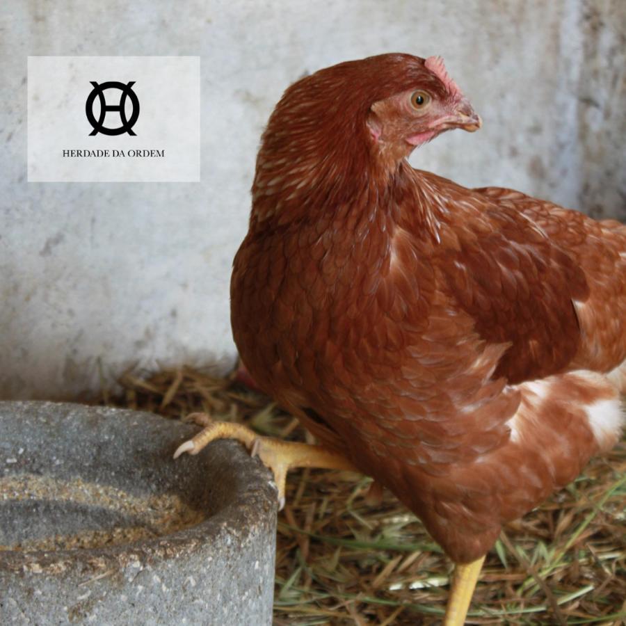 Herdade Da Ordem Cabeço de Vide 外观 照片