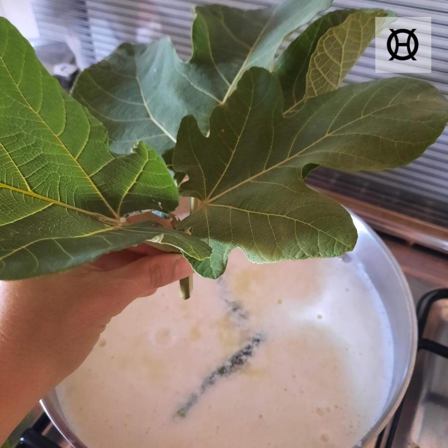 Herdade Da Ordem Cabeço de Vide 外观 照片